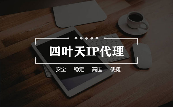 【淄博代理IP】如何快速搭建代理IP？怎么检查代理的效果？